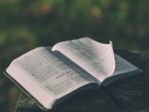 PREGAÇÃO O SENHOR É MEU PASTOR E NADA ME FALTARÁ, SALMO 23:1