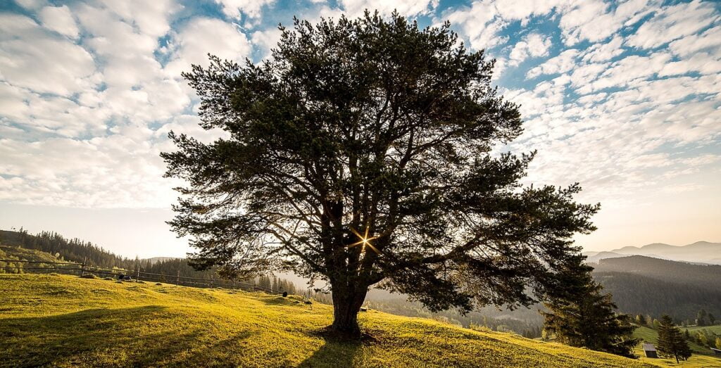 Esboço de pregação sobre Eclesiastes 3:14 Eu sei que tudo quanto Deus faz durará eternamente